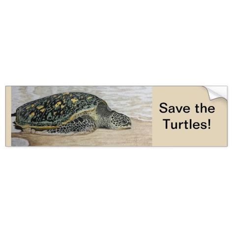 Save The Turtles Hand Drawn Design Bumper Sticker Zazzle Hand