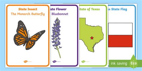 Texas State Symbols For Kids Geography Special Events