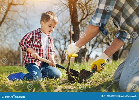 Nice Little Boy And His Father Planting A Tree Stock Photo Image Of