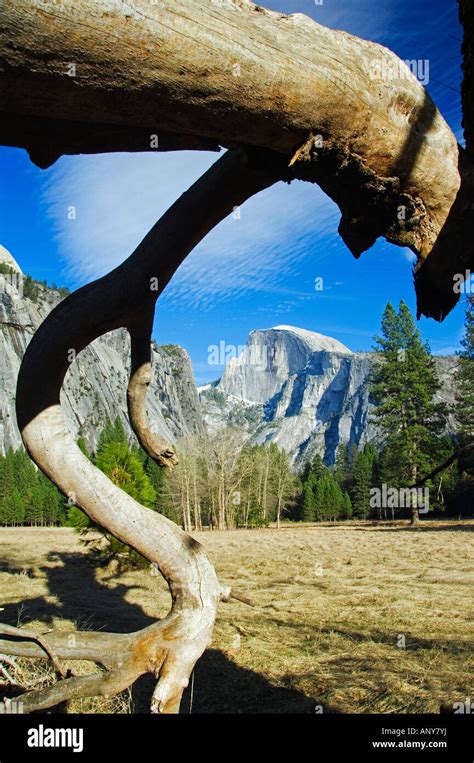Usa California Yosemite National Park Granite Wall Of Half Dome Peak