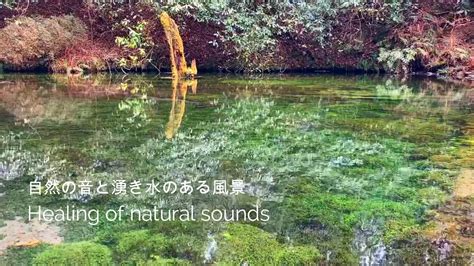 自然の音 九州の風景 神秘の池山水源 湧き水 癒し音ikeyama Spring Kyushunatural Healing Sound