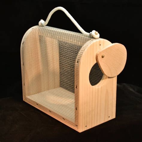 Wooden Bug And Critter Cage Etsy Bug Houses For Kids Woodworking