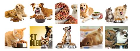 Find your ideal job at seek with 22 pet food jobs found in roselands nsw 2196. Free Pet Food Promotion