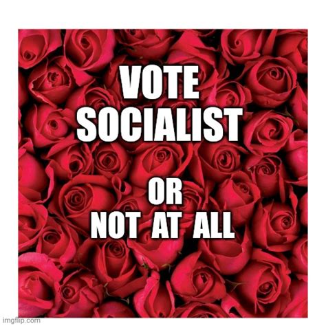 Vote Socialist Imgflip