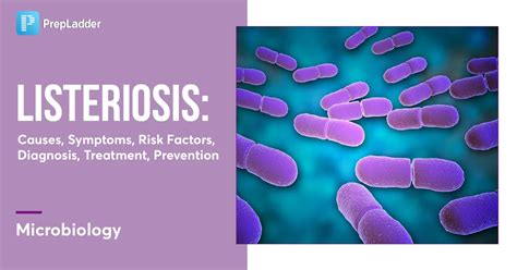 Listeriosis Causes Symptoms Risk Factors Diagnosis Treatment