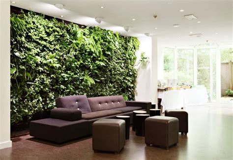 Ways Of Decorating Your Interior With Green Plants Home