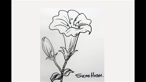 How To Draw Realistic Flower Step By Step Easy Drawing Youtube