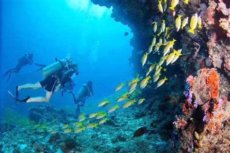 Underwater Snorkeling Experiences At Jumeirah Dhevanafushi
