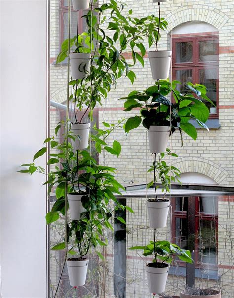 Window Garden By Danese The Self Growing Plant Stand Plants Garden