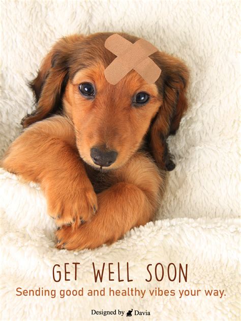 Pin On Get Well Cards