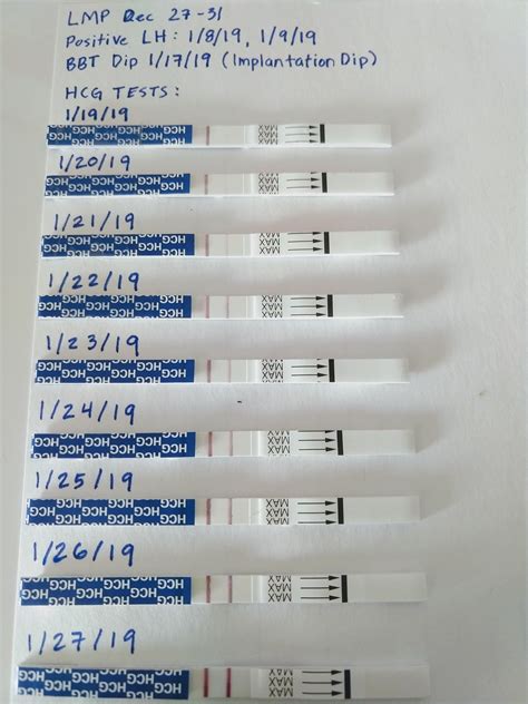 Pregmate Hcg Tests Starting At 9 Dpo Positive Lh 18 And 19 Possible