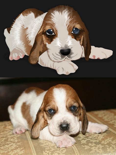 We did not find results for: Stardoll Blog: Dogs look like in real life and cartoon