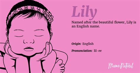 Lily Name Meaning Origin Popularity Girl Names Like Lily Mama Natural