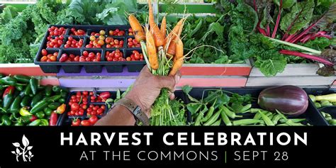 2019 Harvest Celebration The Commons — Sweet Water Foundation