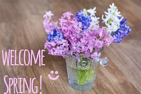 Welcome Spring Message With A Beautiful Flowers Stock Image Image Of
