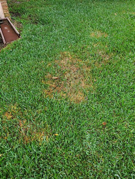 What Are These Brown Spots In My Lawn