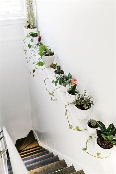 ¡crea la mejor decoración con plantas de interior en casa! Ideas originales para decorar interiores con plantas ...