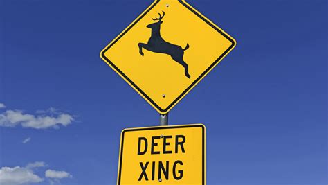 Iowa Department Of Transportation On Deer Crossing Signs