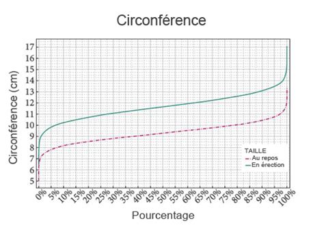 Taille Du Pénis Les Courbes Pour Savoir Si Vous êtes Normal