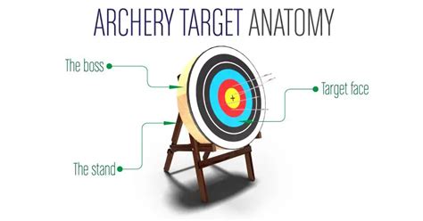 Archery Equipment A Basic Guide Boss Targets