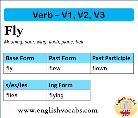 Fly Past Simple Past Participle V V V Form Of Fly English Vocabs