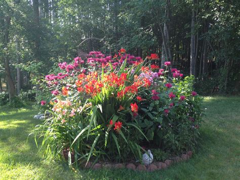 Member Photo Submissions Mganm Master Gardener Association Of