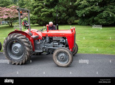 1964 Red Massey Ferguson 35x Model Farm Tractor Stock Photo Royalty