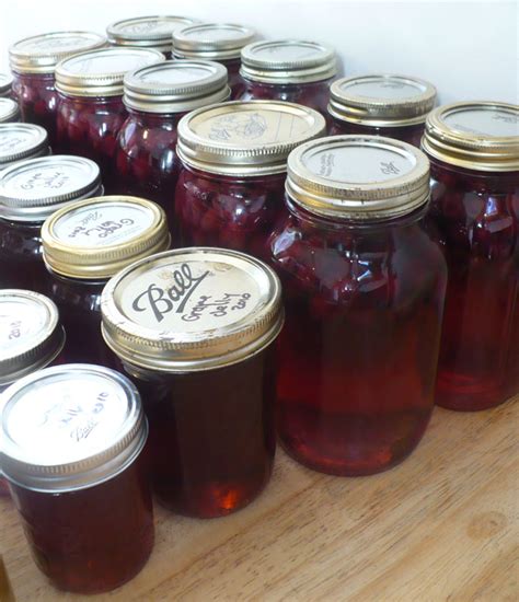 The Enchanted Tree Canning Grape Juice And Jelly