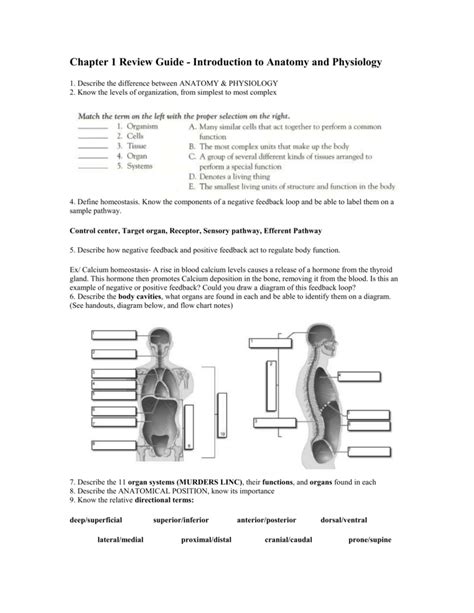Quizlet Anatomy And Physiology Chapter 1 Anatomical Charts And Posters