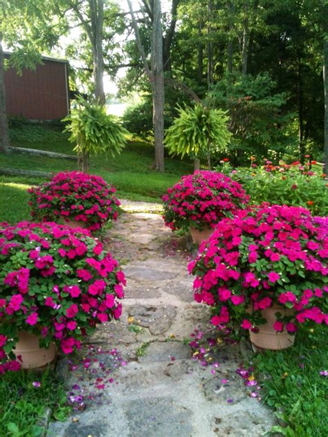 One Of My Favorite Flowers Front Yard Garden Design