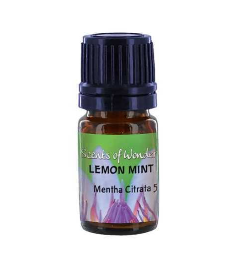 Lemon Mint Bergamot Mint Mentha Citrata Self Heal Distributing