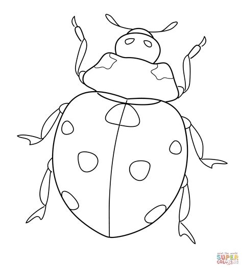 Realistic Ladybug Coloring Pages