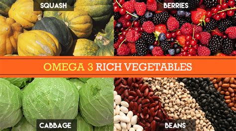 Acids vegetarian omega 3 foods. 20 Shocking Vegan Myths Dispelled | Fresh n' Lean