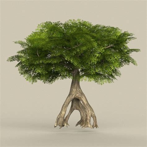 Game Ready Tree 12 3d Asset Low Poly Cgtrader