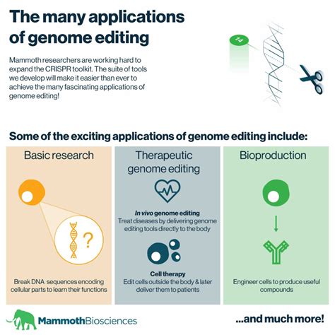 The Many Applications Of Crispr Genome Editing Mammoth Biosciences