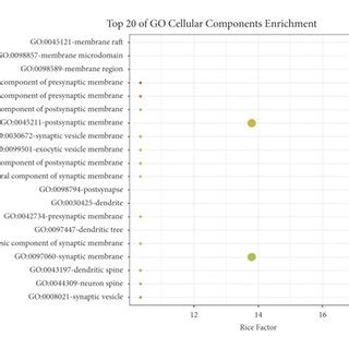 Gene Ontology Go And Kyoto Encyclopedia Of Genes And Genomes Kegg