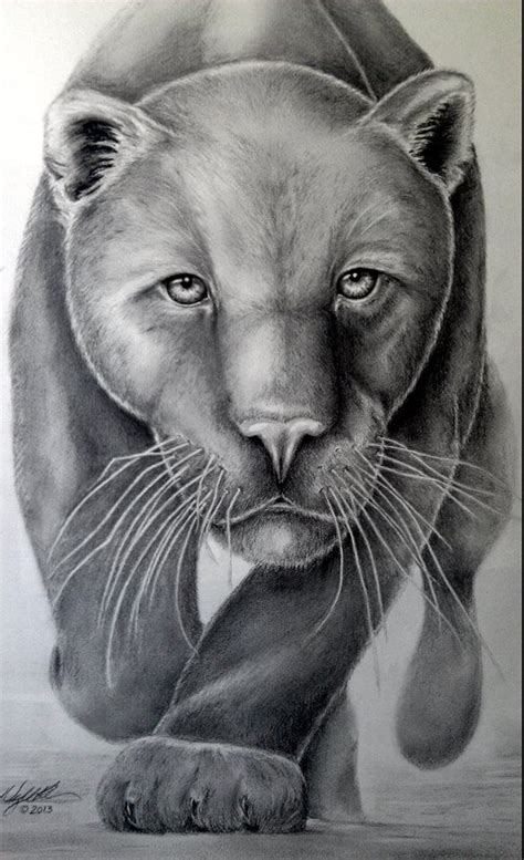 My Panther Drawing Pencil Graphite Black Panther Drawing Panther Art