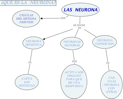 2 Las Neuronas