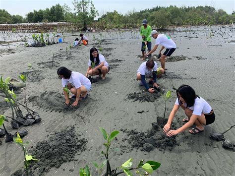 Six Projects Restoring Vital Mangrove Forests Around The World One Earth