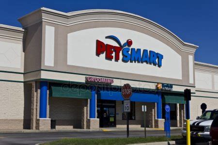From dogs, cats, birds, fish and even reptiles we have anything you are looking for found in our convenient stores. PetSmart near me: How much is grooming at petsmart ...