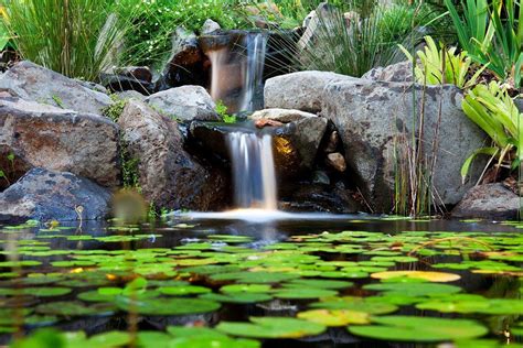 Residential Pond - Waterscapes Australia