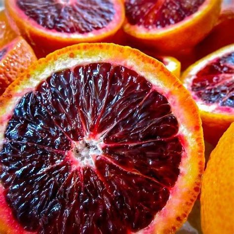 Laranja Moro Os Segredos Da Fruta Capaz De Melhorar A Saúde E Promover