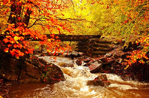 Landscape Leaves Golden Autumn Wallpaper 5230x3455 417134 Wallpaperup