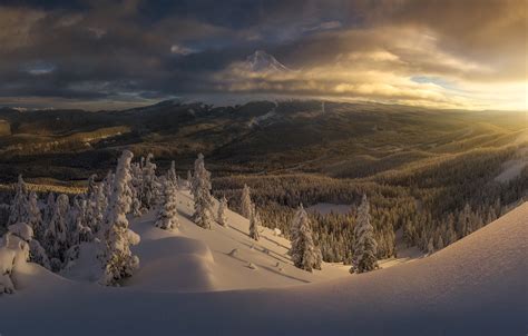 Wallpaper Winter Forest Snow Dawn Morning Valley Oregon The Snow