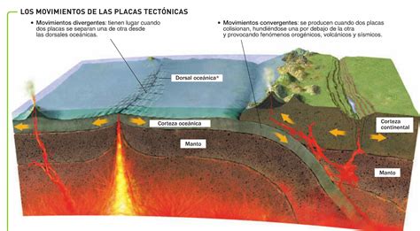 Placas Tect Nicas Origen Qu Son Caracter Sticas Tipos Y M S