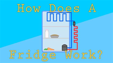 How Do Refrigerators Work An Intro To Gas Laws And Thermodynamics