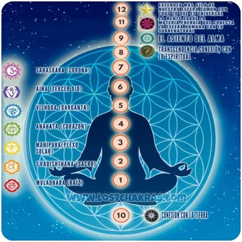 Los 12 Chakras Del Cuerpo Humano ¡nuestra Conexión Con El Universo