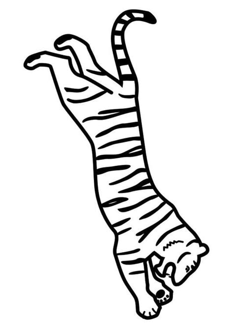 Dibujo Para Colorear Tigre Saltando Dibujos Para Imprimir Gratis