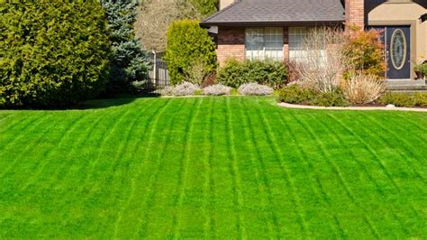 Looking For A Luscious Lawn Here Are Some Great Tips To Get That Lawn