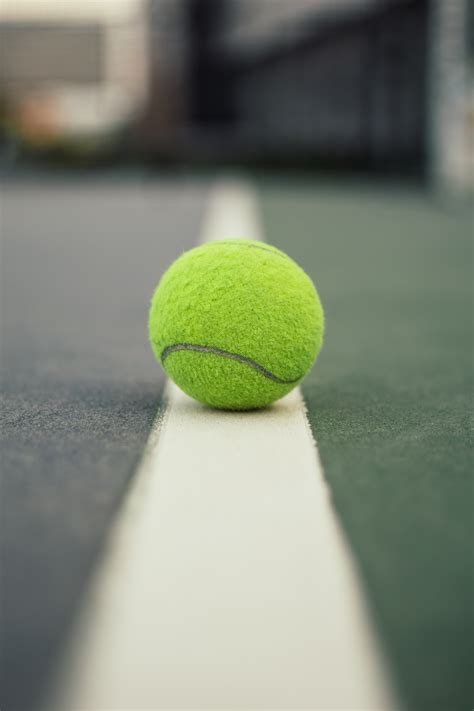 無料画像 緑 テニスボール 玉 テニスコート スポーツ会場 ライン Real Tennis スポーツ用品 ラケットスポーツ